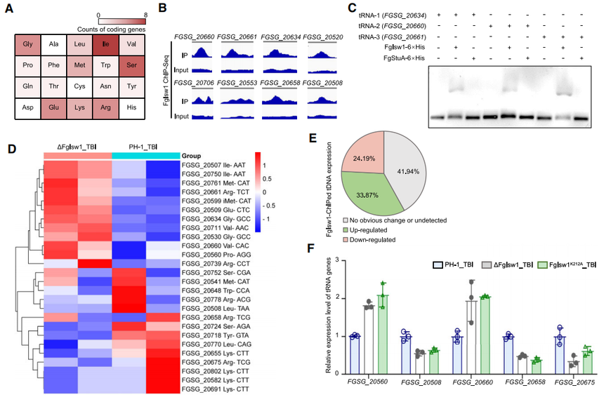 1762506443355081.png 图片10.png