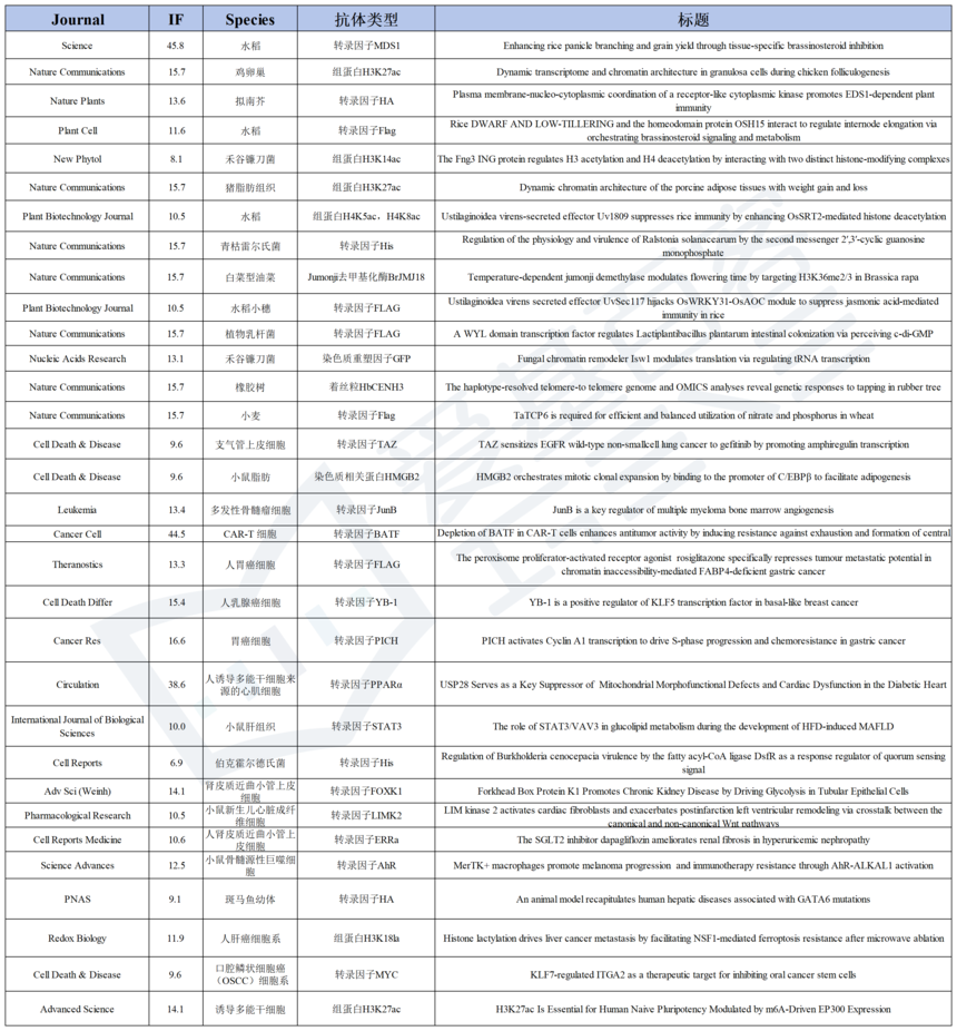 1762506468435848.png 图片11.png