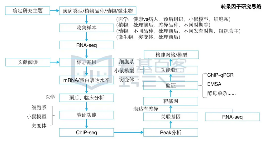 1762506535801555.png 图片15.png