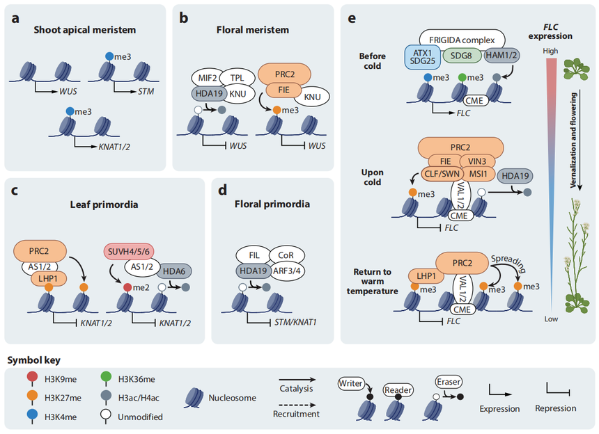 1762508228781591.png 图片3.png