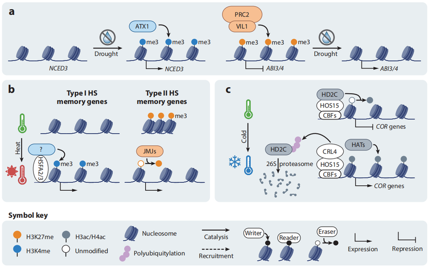 1762508260952148.png 图片4.png
