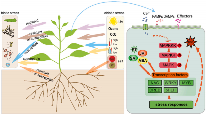 1763110498237615.png 图片1.png