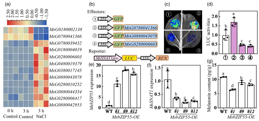 1763110548994157.png 图片3.png
