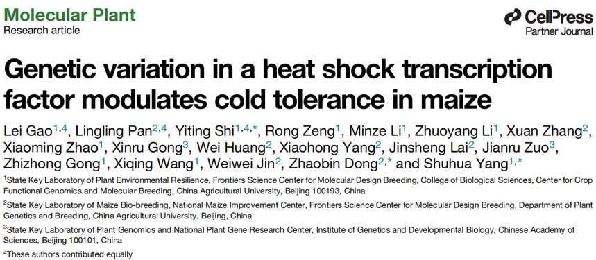 1763110559769807.png 图片4.png