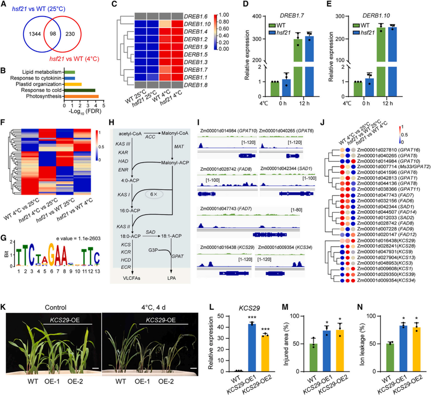 1763110573992064.png 图片5.png