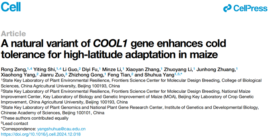 1763110585298511.png 图片6.png