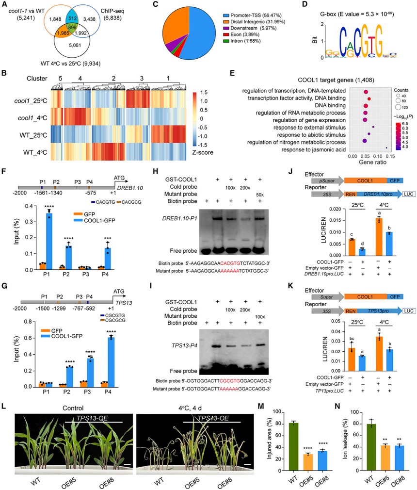 1763110599821756.png 图片7.png