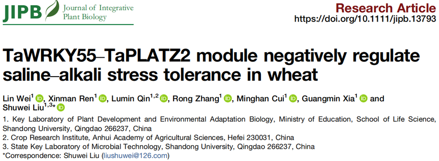 1763110668286869.png 图片8.png