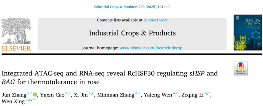 1763110692814921.png 图片10.png