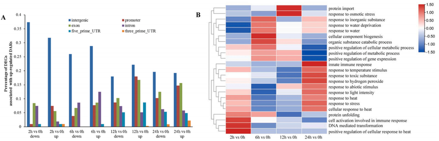1763110702952232.png 图片11.png