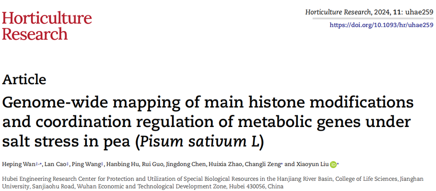 1763111151214325.png 图片1.png