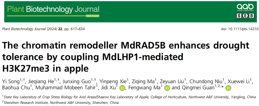 1763111178281291.png 图片3.png