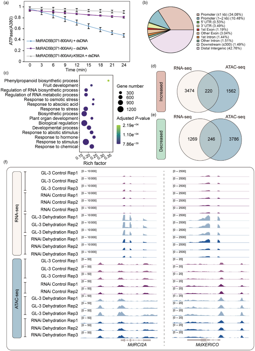 1763111191248004.png 图片4.png