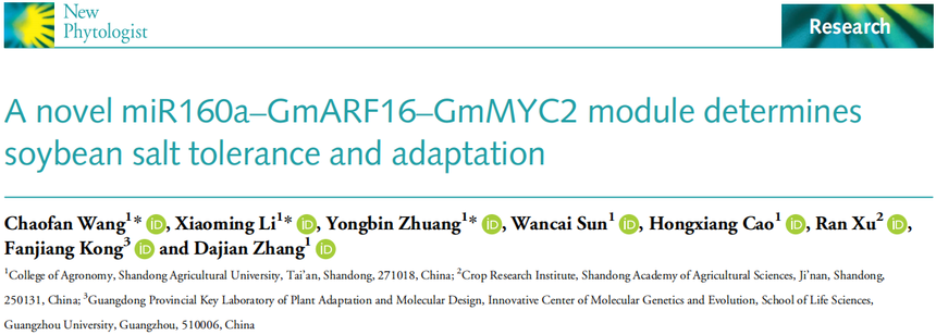 1763111201628276.png 图片5.png