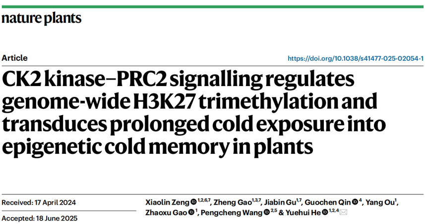 1763111223242121.png 图片7.png