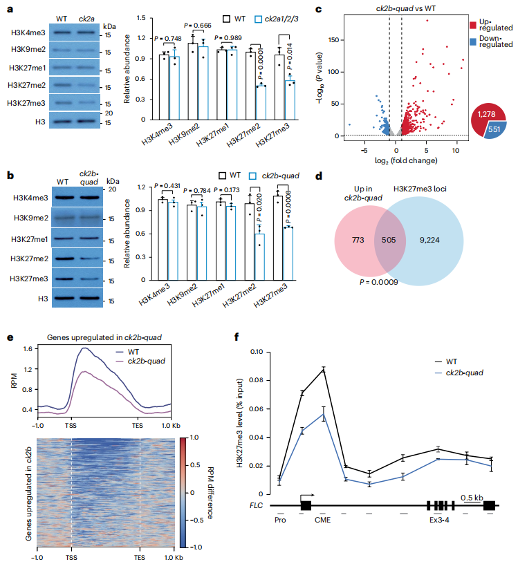 1763111236702145.png 图片8.png
