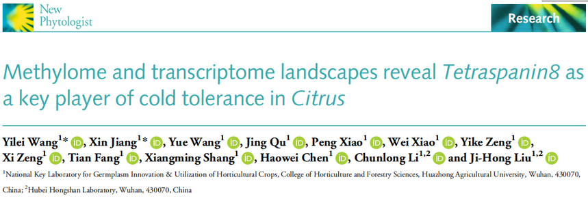 1763111246999118.png 图片9.png