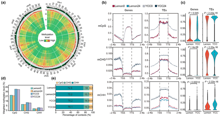 1763111257347297.png 图片10.png