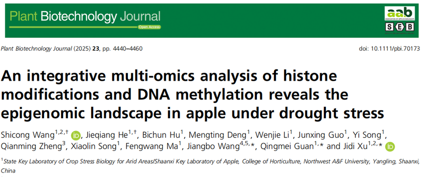 1763111266589310.png 图片11.png