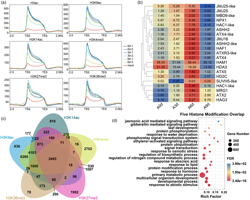 1763111278825628.png 图片12.png