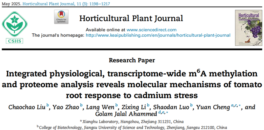 1763111290195259.png 图片13.png