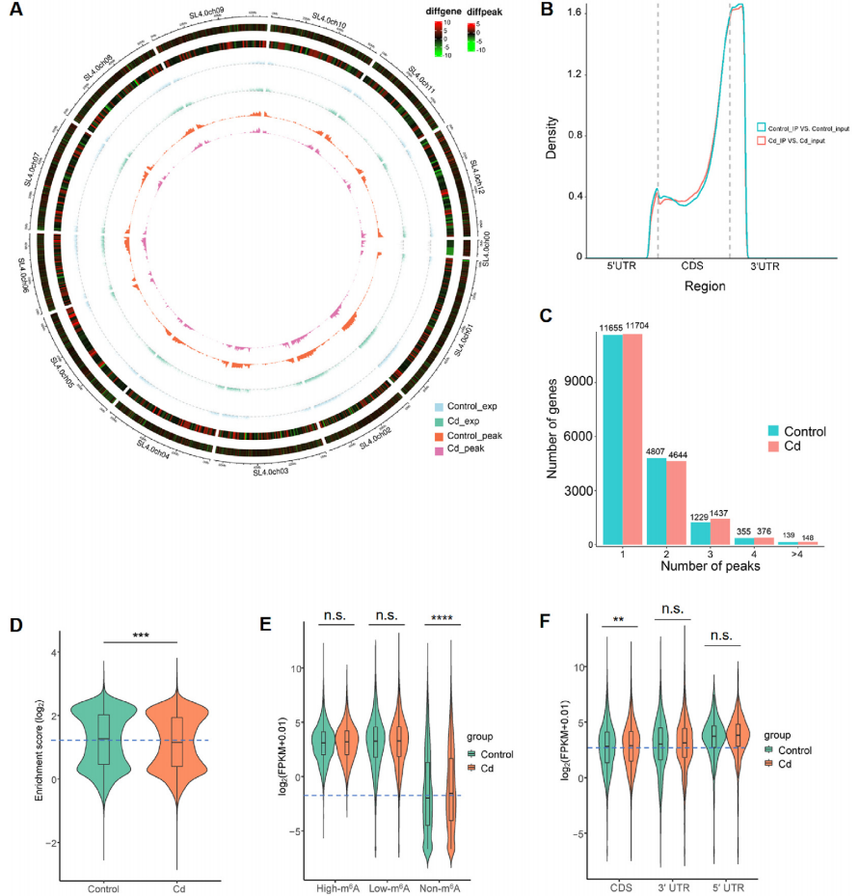 1763111302191381.png 图片14.png