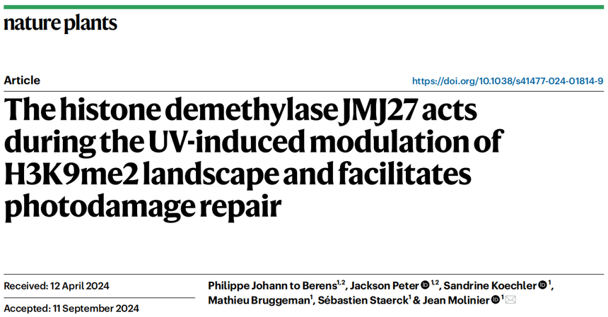 1763111313975906.png 图片15.png