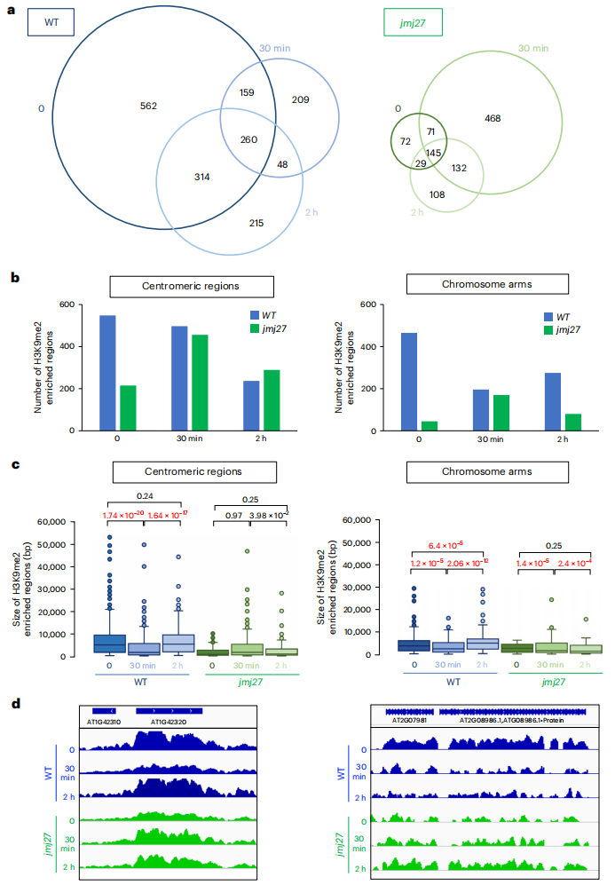 1763111324744953.png 图片16.png