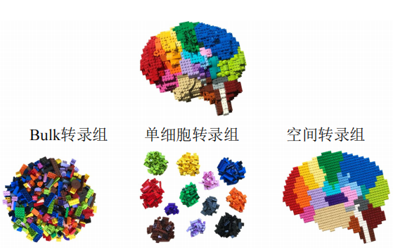 1763111933914056.png 图片1.png