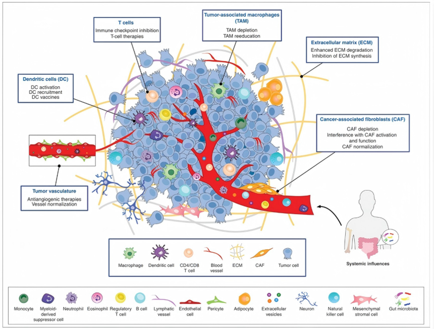 1763111946549216.png 图片2.png