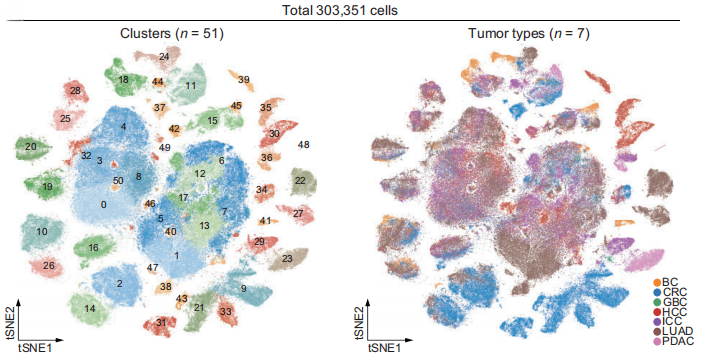 1763112103955828.png 图片2.png