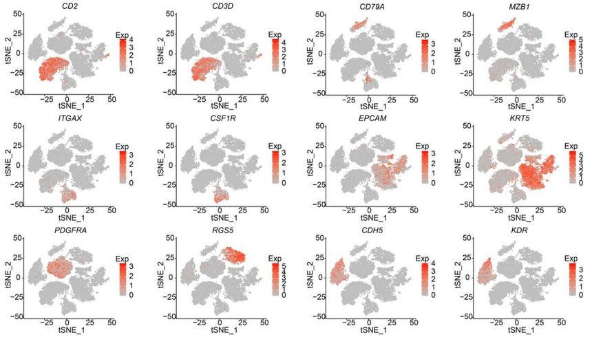 1763112146626823.png 图片3.png