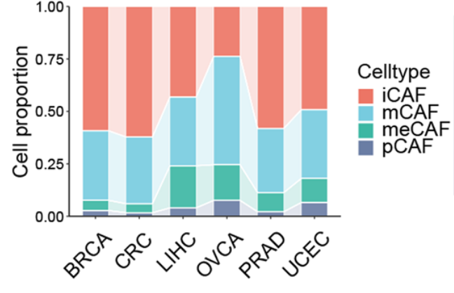 1763112177872033.png 图片5.png