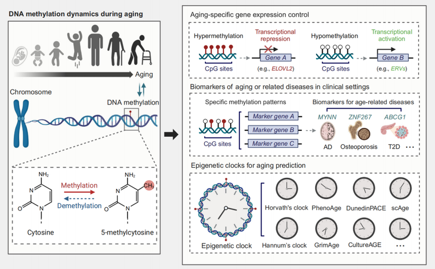 1763524547238538.png 图片2.png