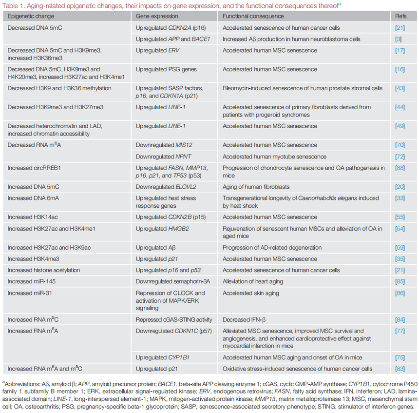 1763524558447749.png 图片3.png