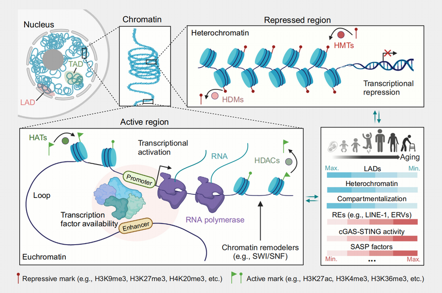 1763524583213863.png 图片5.png