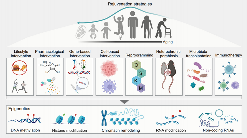 1763524608862547.png 图片7.png