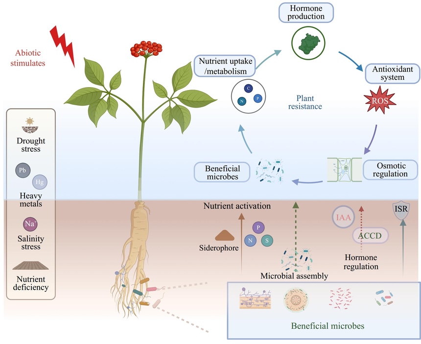 1763531166813753.png 图片1.png