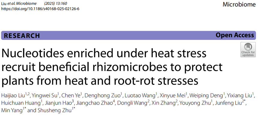 1763531188289816.png 图片2.png