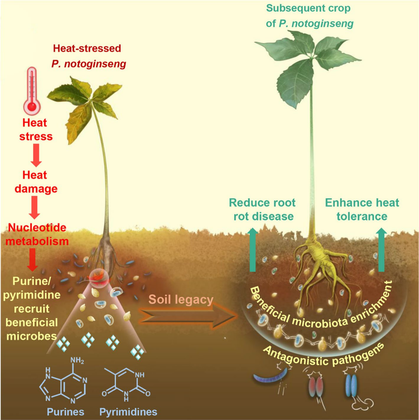 1763531254889583.png 图片3.png