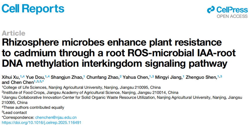 1763531269297702.png 图片4.png