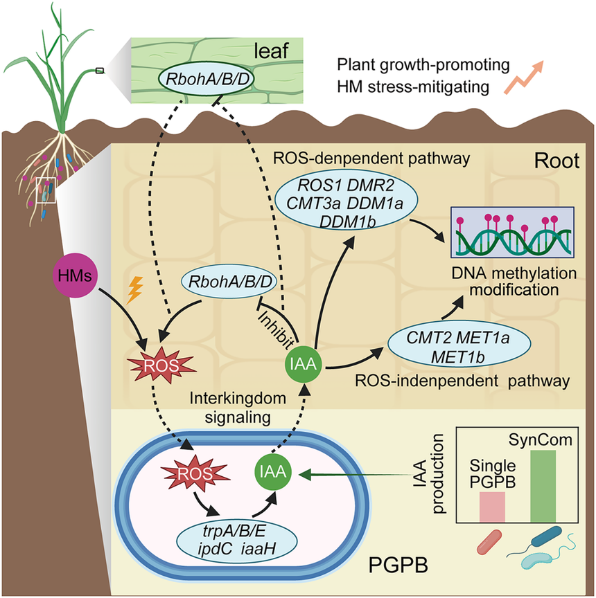 1763531286676105.png 图片5.png