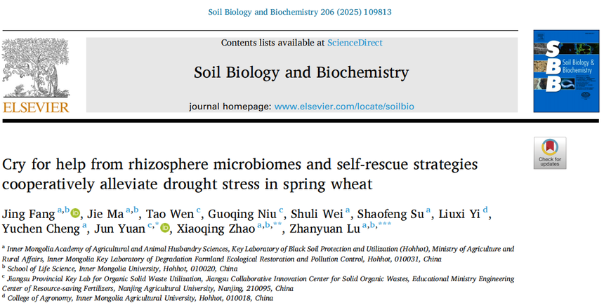 1763531297110713.png 图片6.png