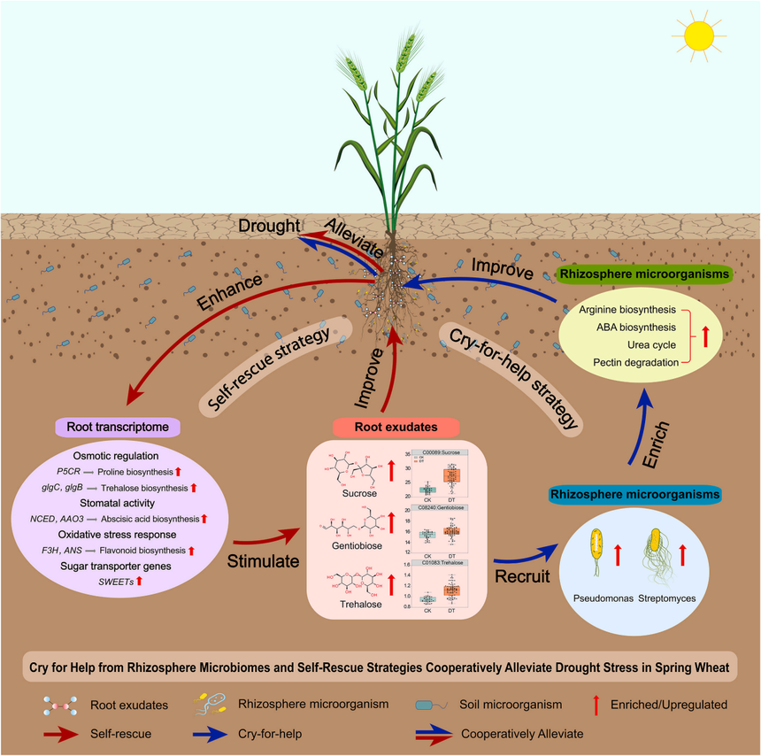 1763531313496495.png 图片7.png