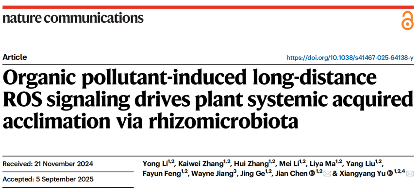 1763531324285241.png 图片8.png