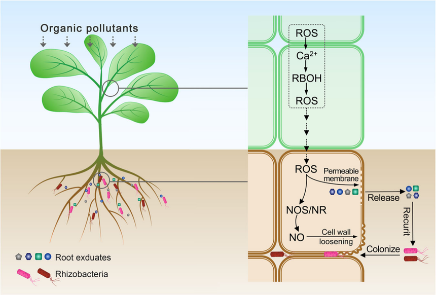 1763531334320307.png 图片9.png