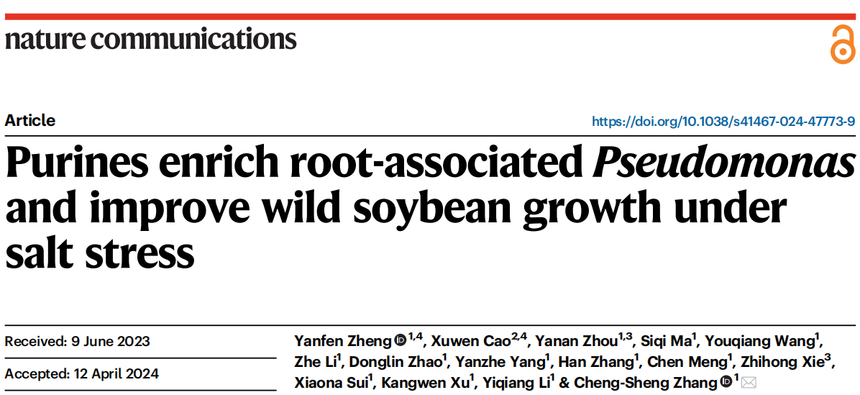 1763531347293582.png 图片10.png