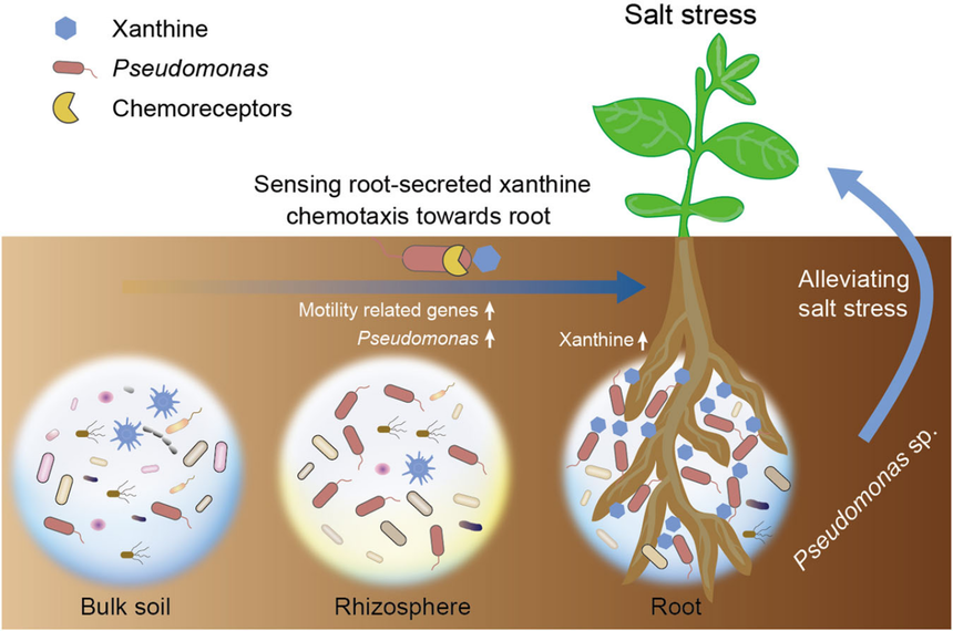 1763531362295728.png 图片11.png