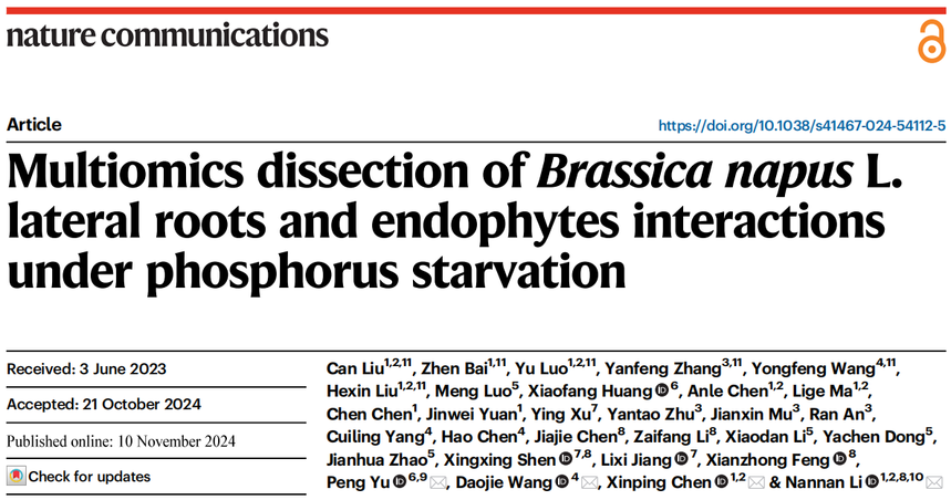 1763531375327290.png 图片12.png