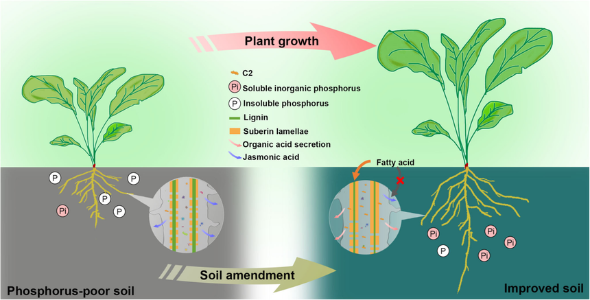 1763531386337725.png 图片13.png